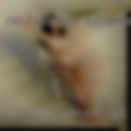 horny women at 18431
